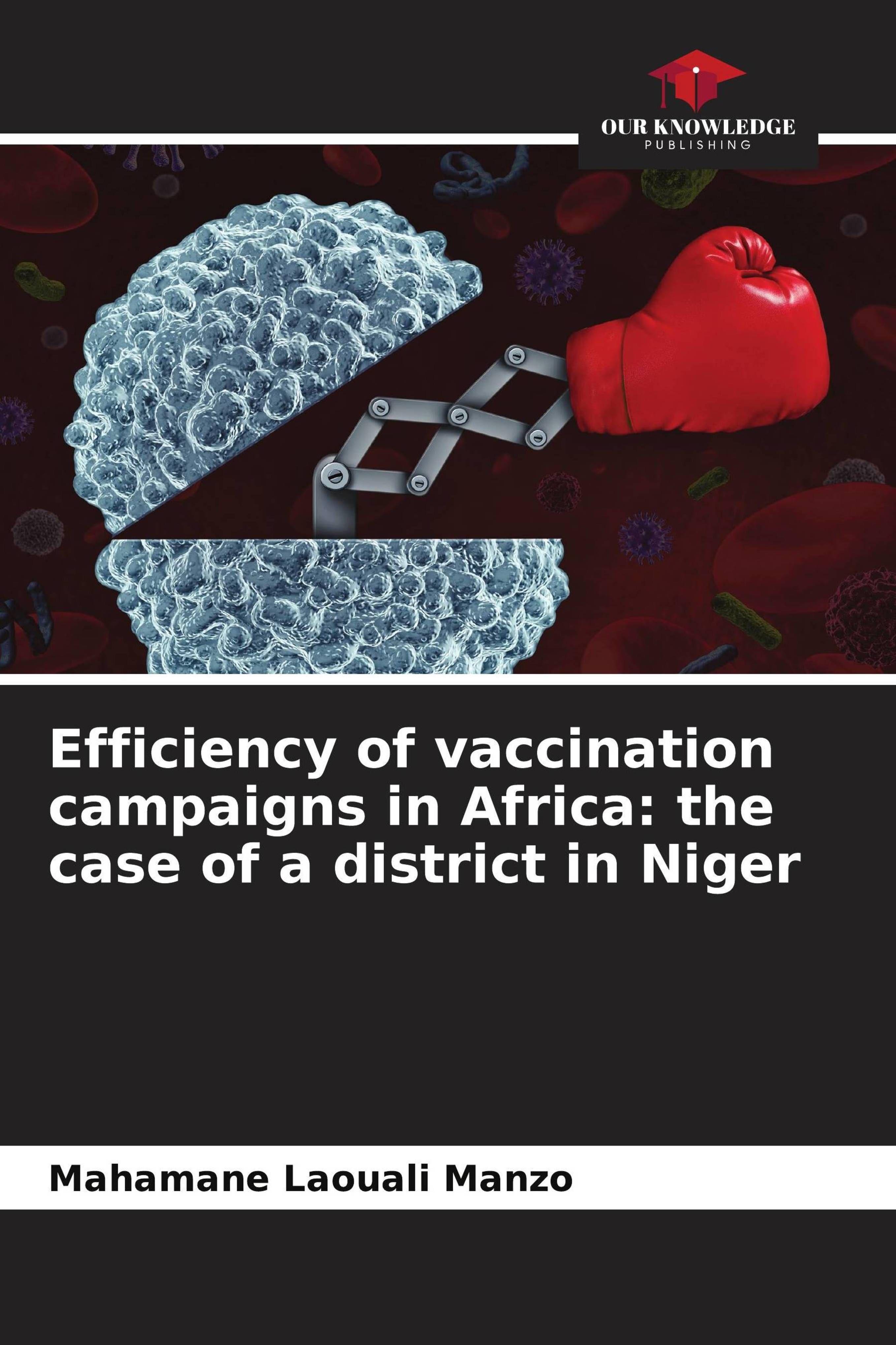 Vorderes Coverbild Efficiency of vaccination campaigns in Africa: the case of a district in Niger