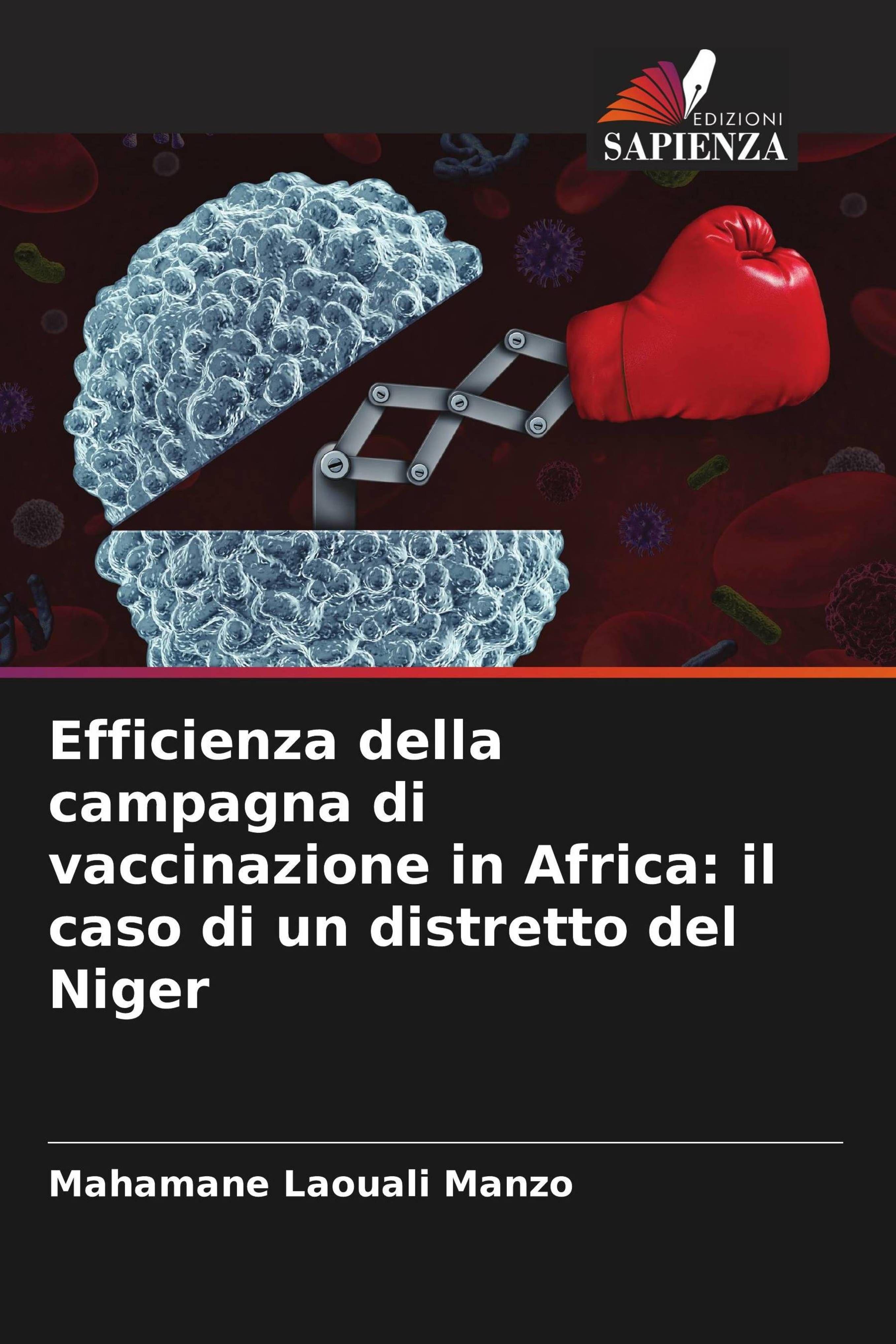Vorderes Coverbild Efficienza della campagna di vaccinazione in Africa: il caso di un distretto del Niger