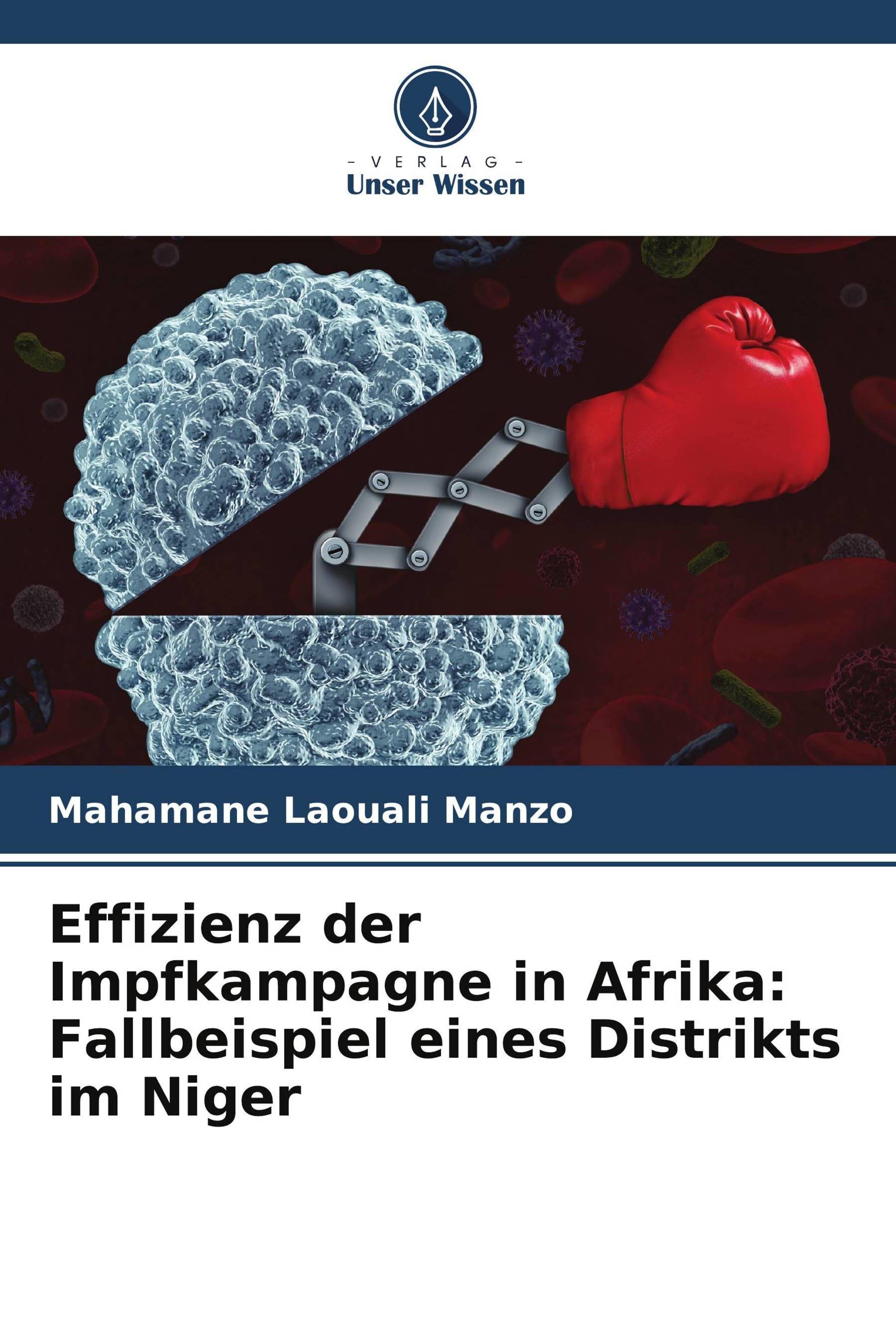 Vorderes Coverbild Effizienz der Impfkampagne in Afrika: Fallbeispiel eines Distrikts im Niger