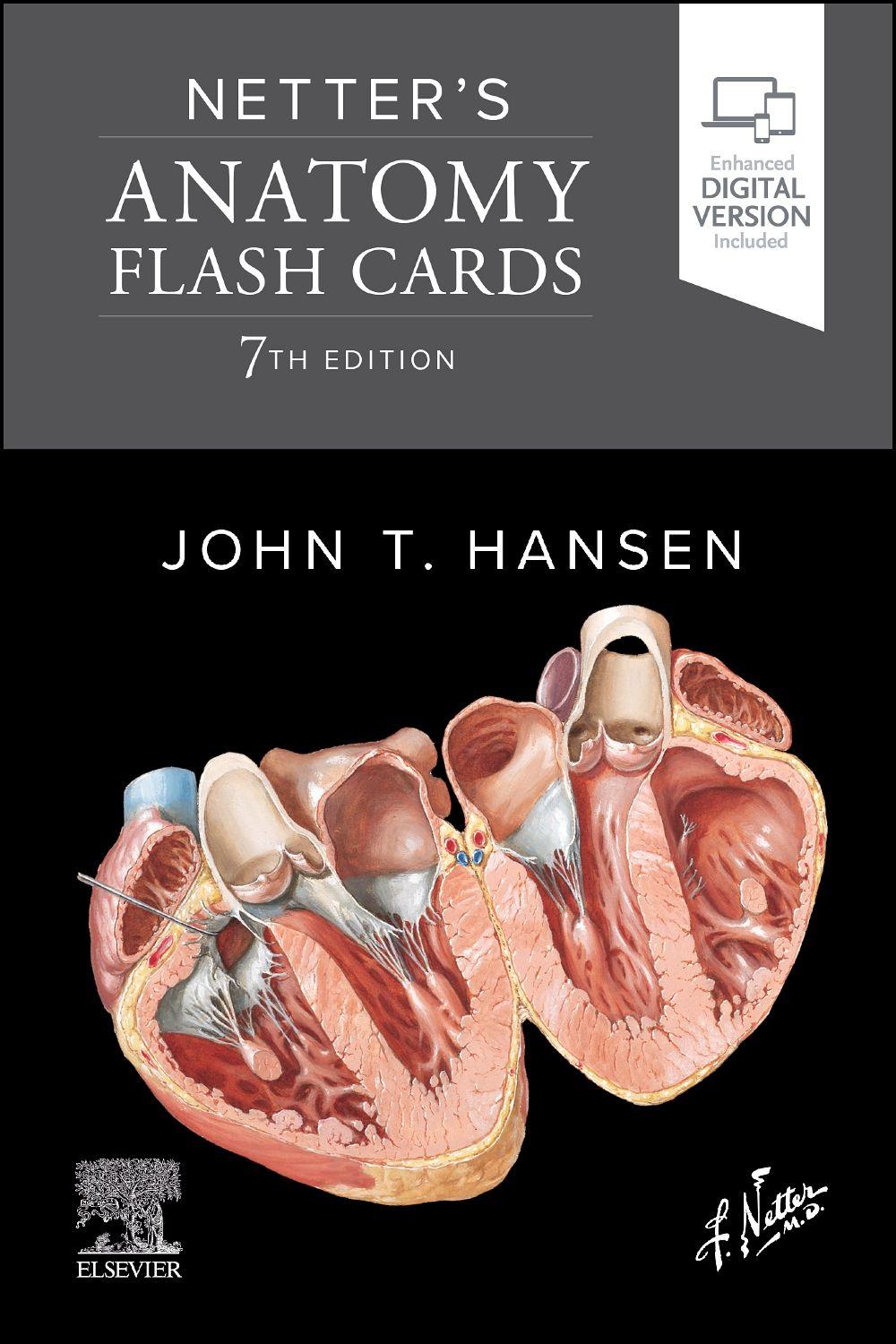 Vorderes Coverbild Netter's Anatomy Flash Cards