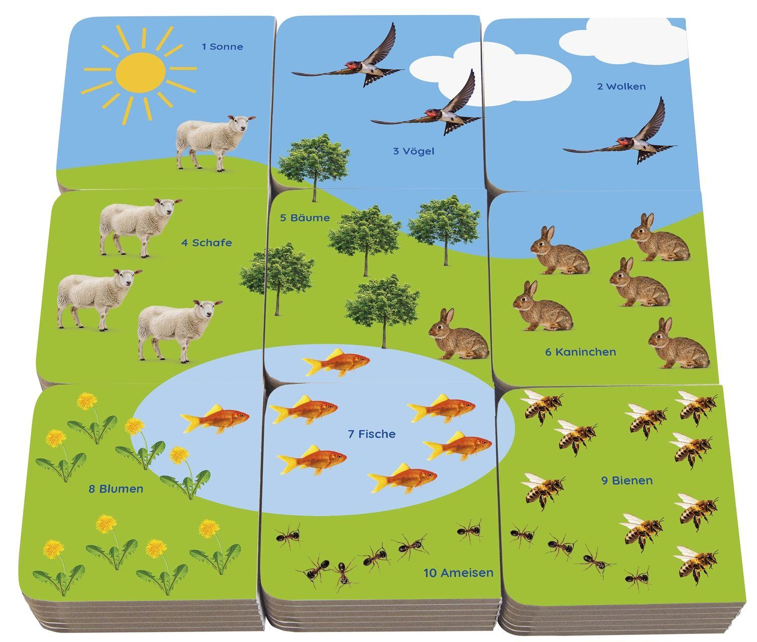 Beispielinhalt (Bild) Erstes Lernen Bücherminis. Meine Welt