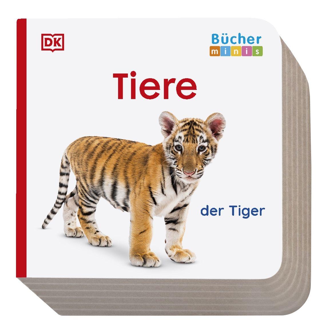 Beispielinhalt (Bild) Erstes Lernen Bücherminis. Meine Welt