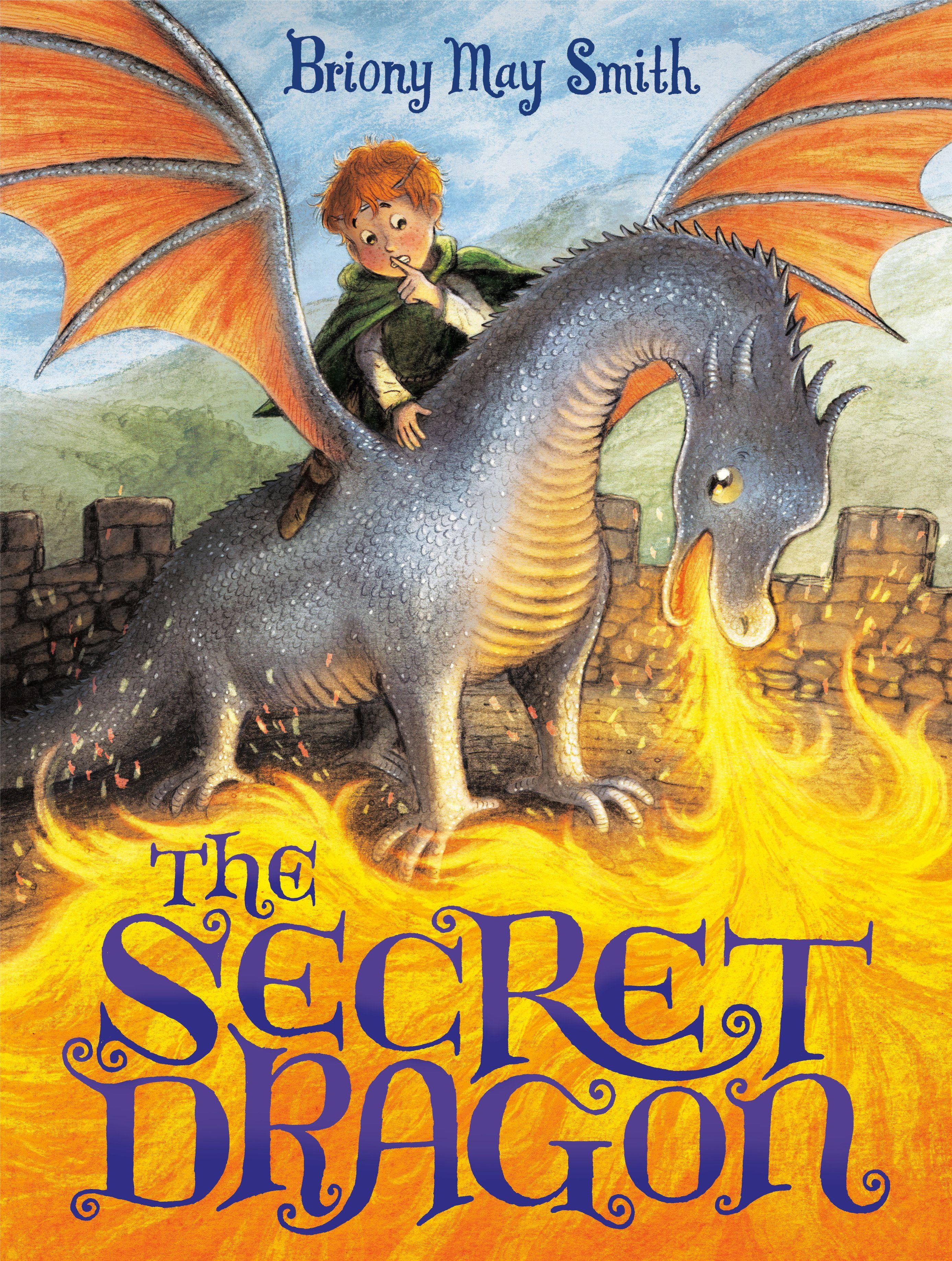 Vorderes Coverbild The Secret Dragon