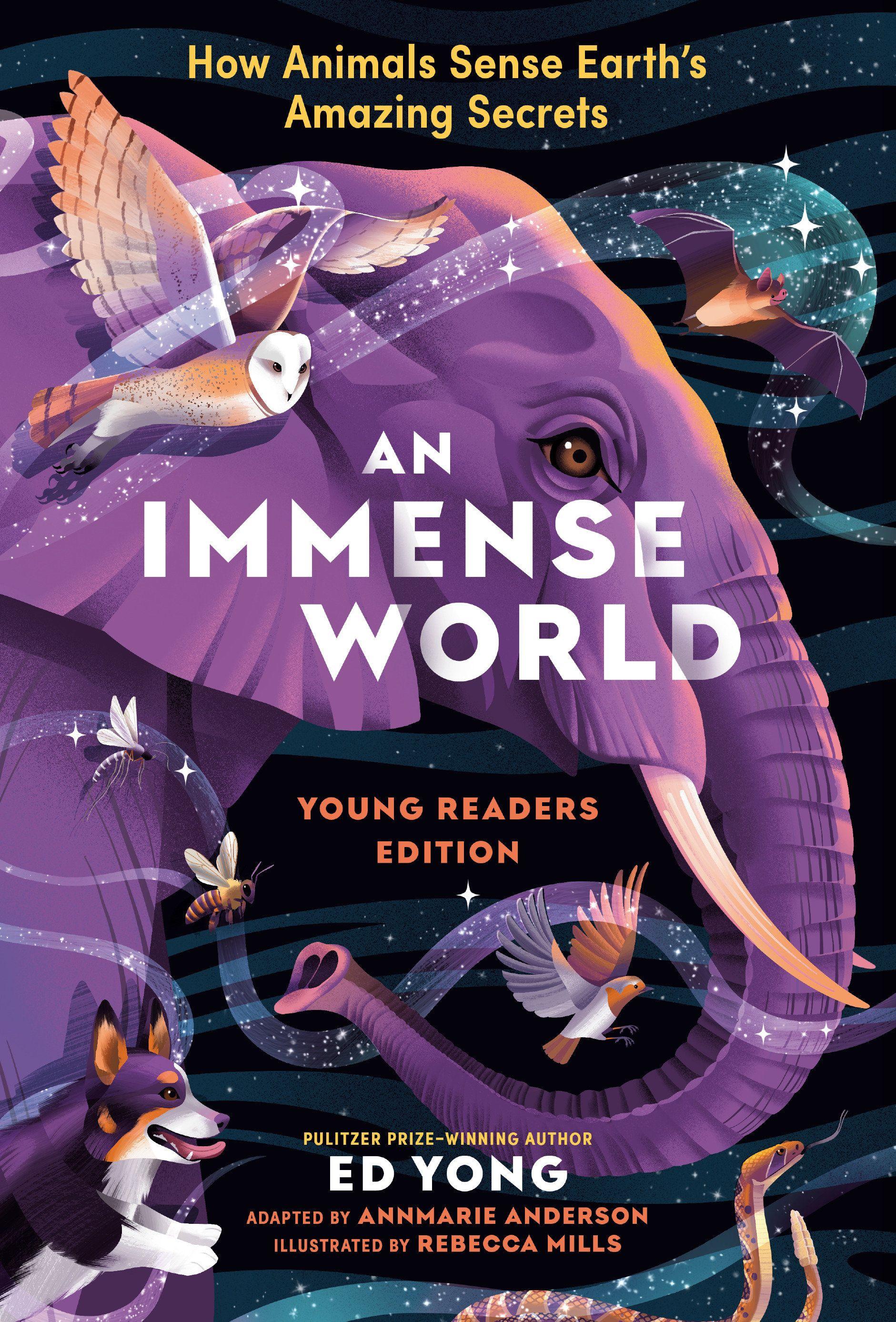 Vorderes Coverbild An Immense World (Young Readers Edition)