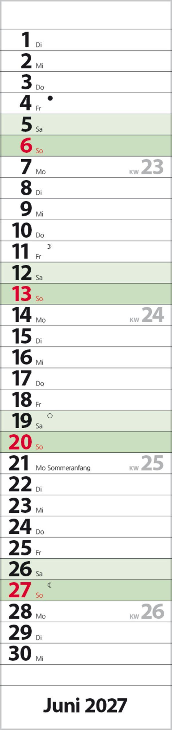 Beispielinhalt (Bild) Streifenplaner Compact Dunkelgrün Recyclingpapier