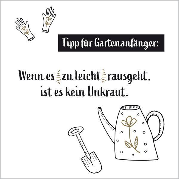 Beispielinhalt (Bild) Visual Words 2027