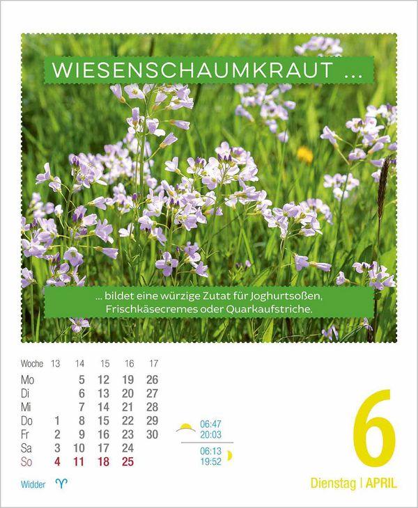 Beispielinhalt (Bild) Gesund & Lecker! 2027