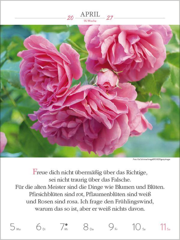 Beispielinhalt (Bild) Buddhistische Weisheiten 2027