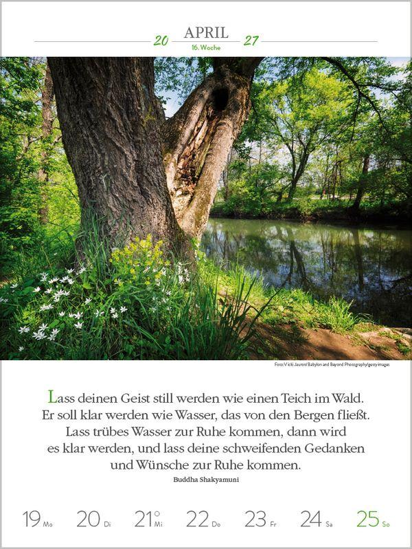 Beispielinhalt (Bild) Buddhistische Weisheiten 2027