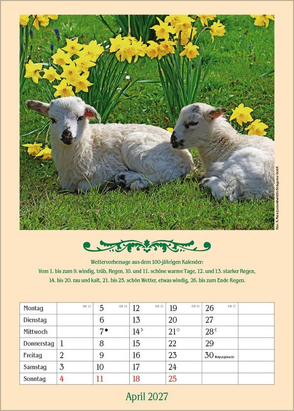 Beispielinhalt (Bild) Landleben mit Hundertjährigem Kalender 2027
