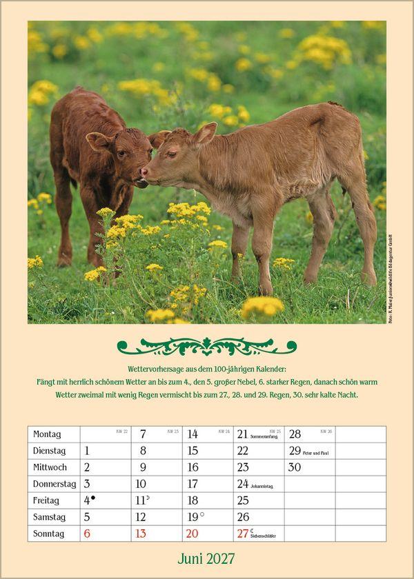 Beispielinhalt (Bild) Landleben mit Hundertjährigem Kalender 2027