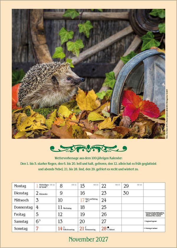 Beispielinhalt (Bild) Landleben mit Hundertjährigem Kalender 2027