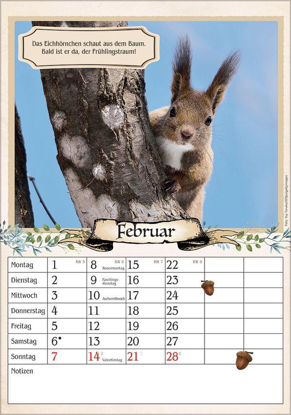 Beispielinhalt (Bild) Kalender für Rentner 2027