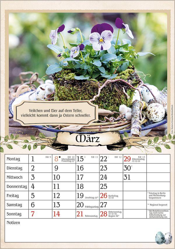 Beispielinhalt (Bild) Kalender für Rentner 2027