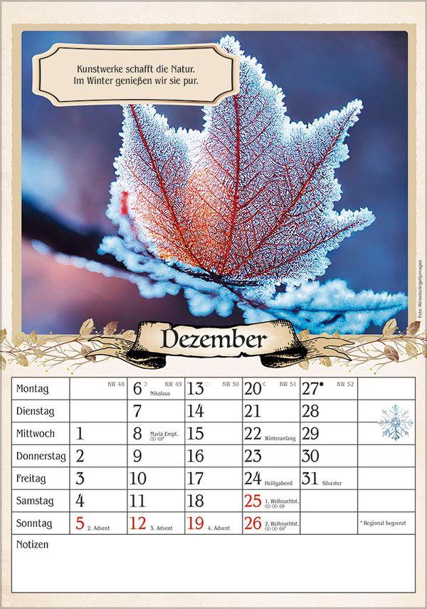 Beispielinhalt (Bild) Kalender für Rentner 2027