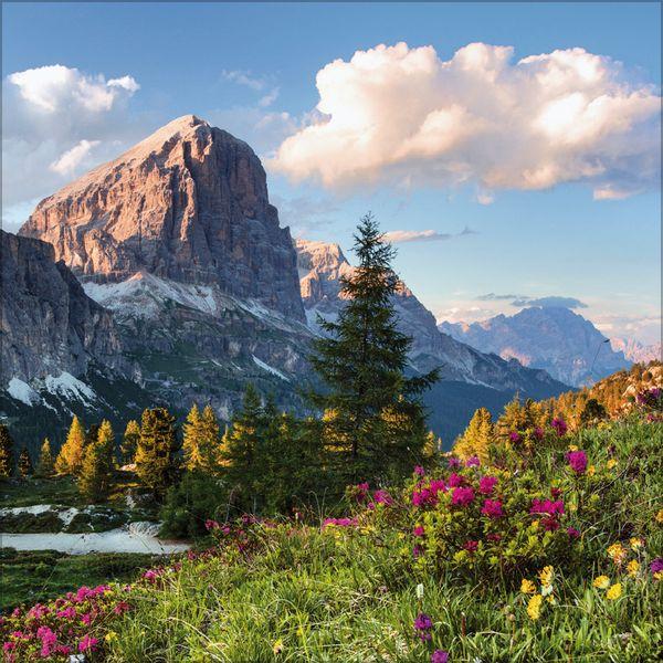 Beispielinhalt (Bild) Alpen 2027