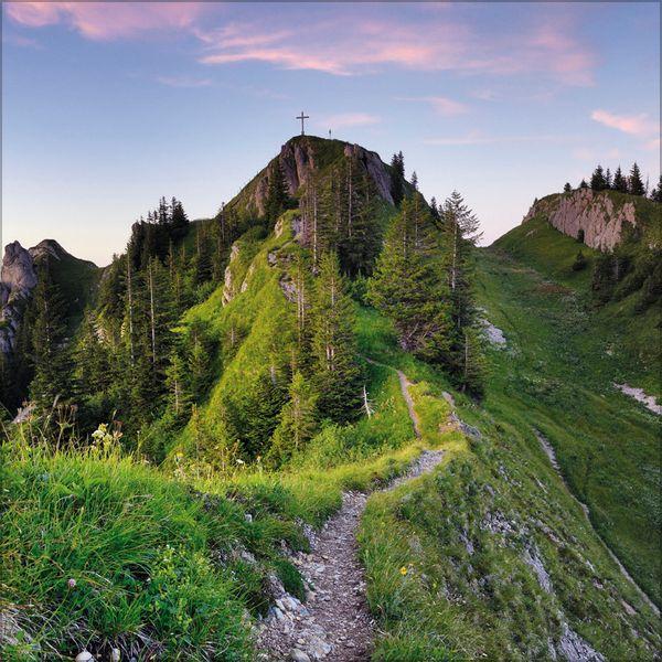 Beispielinhalt (Bild) Alpen 2027