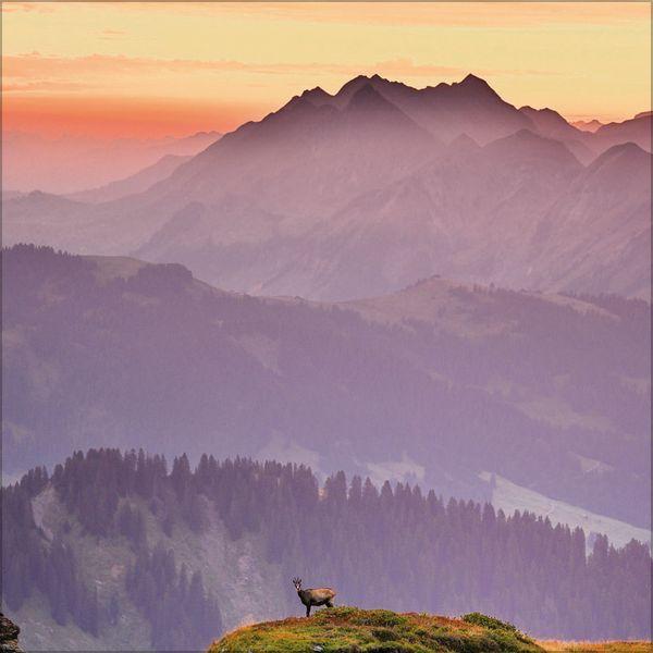 Beispielinhalt (Bild) Alpen 2027