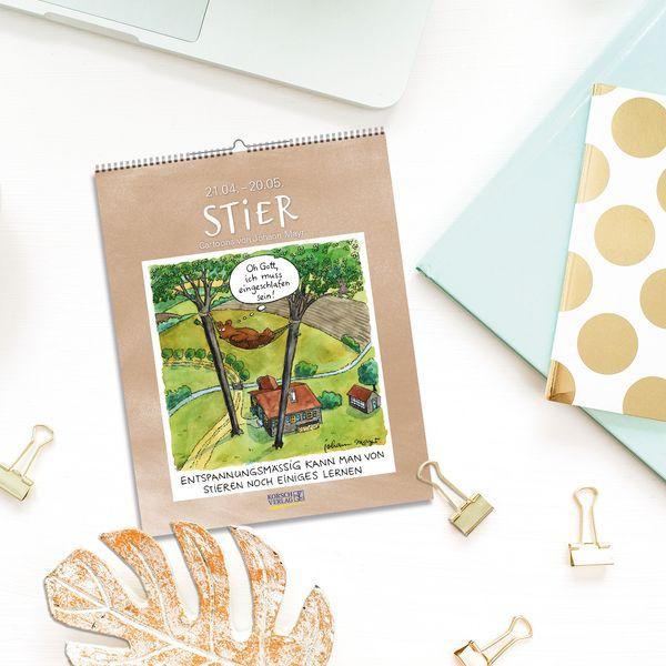 Beispielinhalt (Bild) Stier 2027