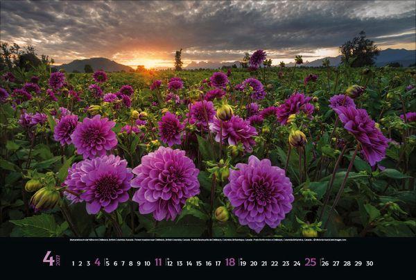 Beispielinhalt (Bild) Spirit of Earth 2027