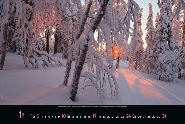 Beispielinhalt (Bild) Magische Wälder 2027