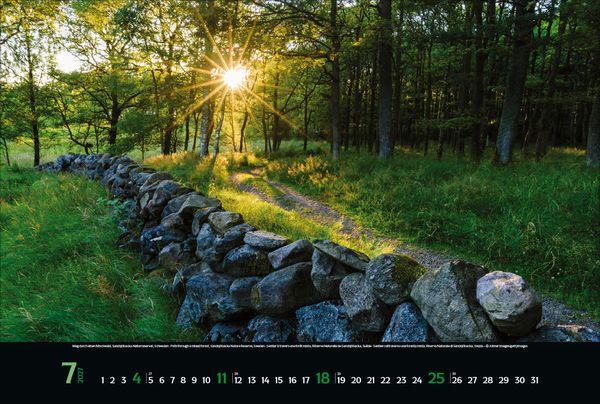 Beispielinhalt (Bild) Magische Wälder 2027