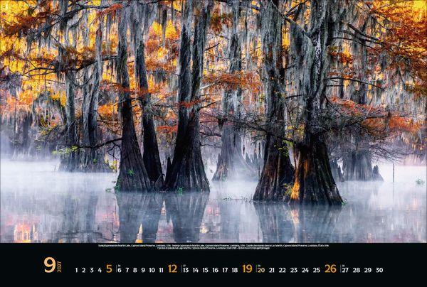 Beispielinhalt (Bild) Magische Wälder 2027