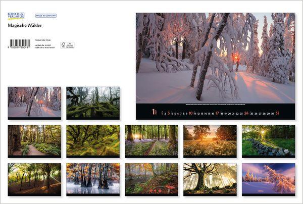 Beispielinhalt (Bild) Magische Wälder 2027