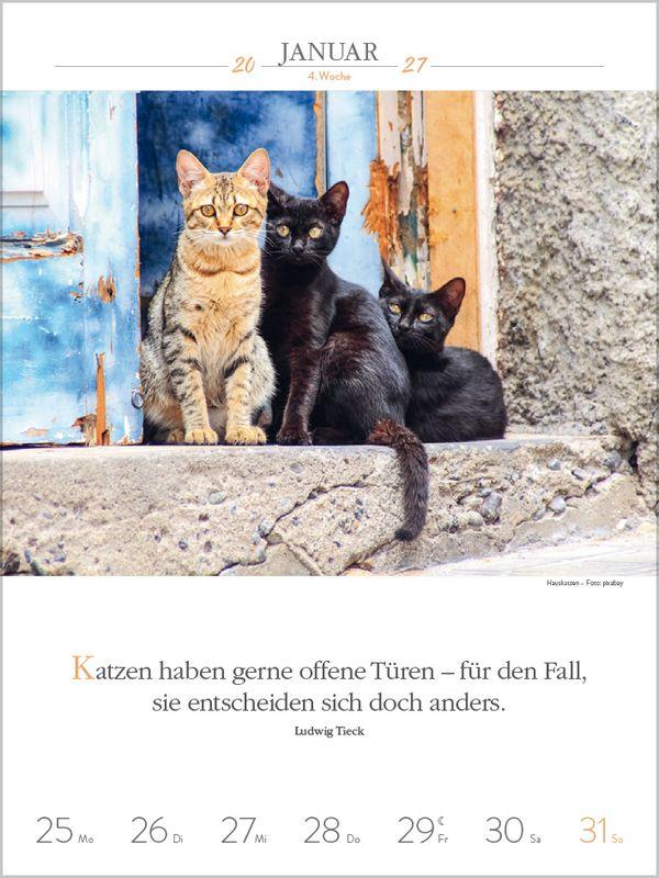 Beispielinhalt (Bild) Literaturkalender Katzen 2027