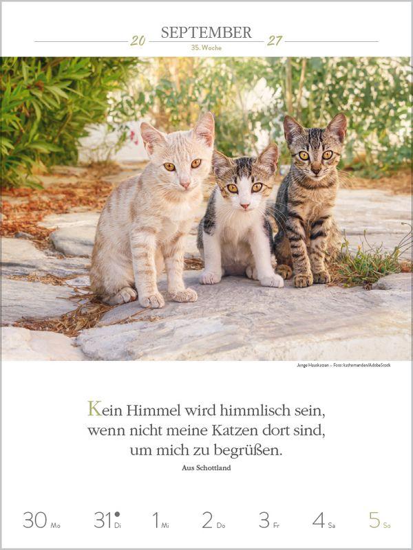 Beispielinhalt (Bild) Literaturkalender Katzen 2027
