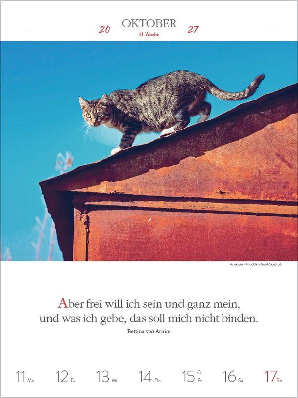 Beispielinhalt (Bild) Literaturkalender Katzen 2027