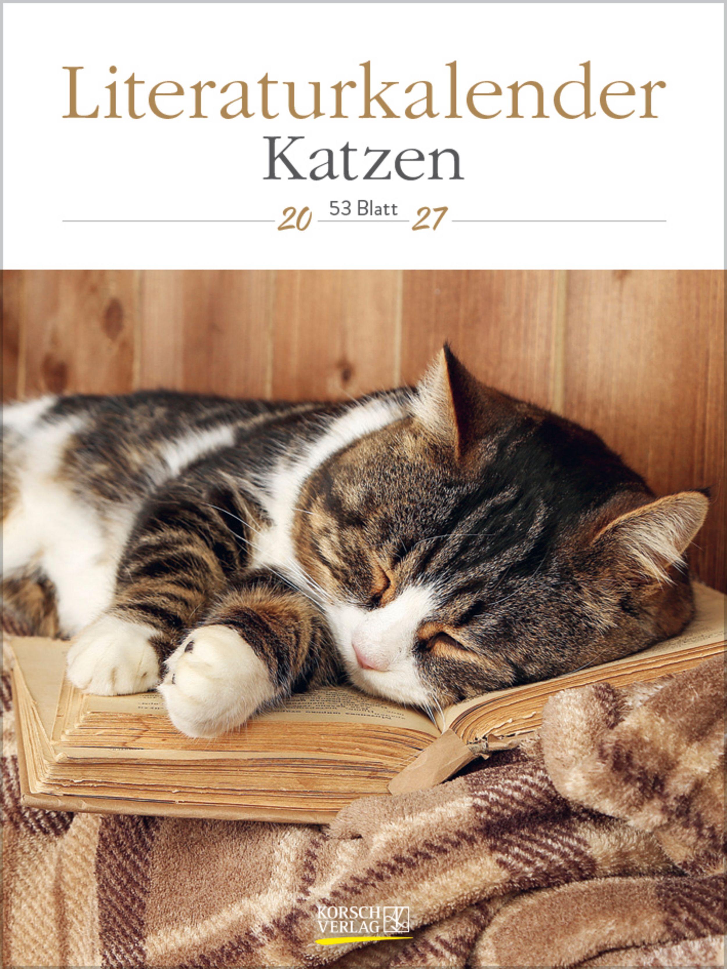 Vorderes Coverbild Literaturkalender Katzen 2027