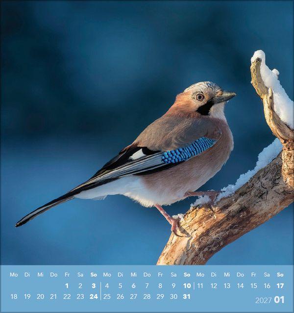 Beispielinhalt (Bild) Vögel unserer Heimat 2027