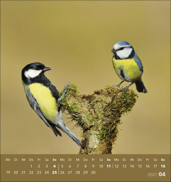 Beispielinhalt (Bild) Vögel unserer Heimat 2027