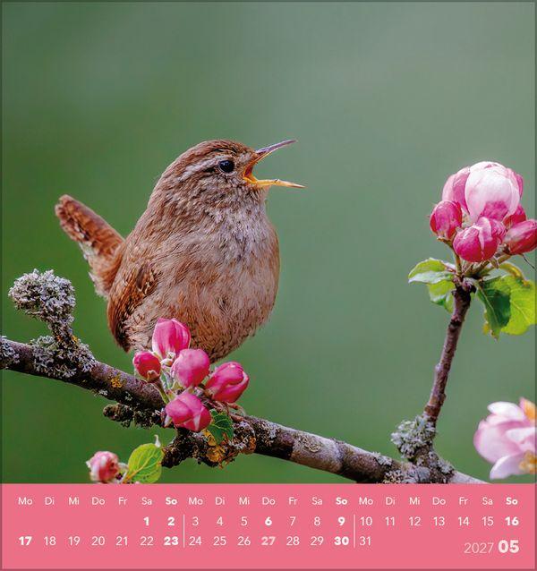 Beispielinhalt (Bild) Vögel unserer Heimat 2027