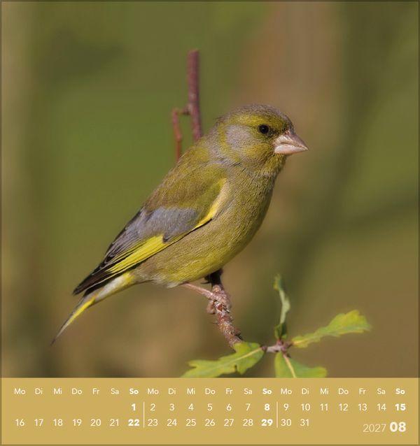 Beispielinhalt (Bild) Vögel unserer Heimat 2027