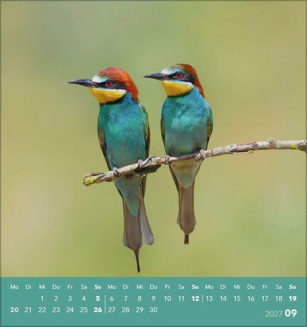 Beispielinhalt (Bild) Vögel unserer Heimat 2027