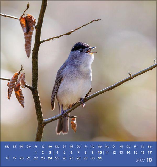 Beispielinhalt (Bild) Vögel unserer Heimat 2027