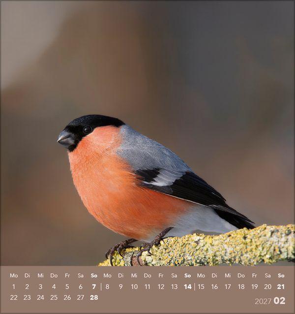 Beispielinhalt (Bild) Vögel unserer Heimat 2027