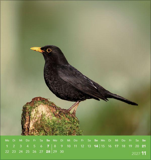 Beispielinhalt (Bild) Vögel unserer Heimat 2027