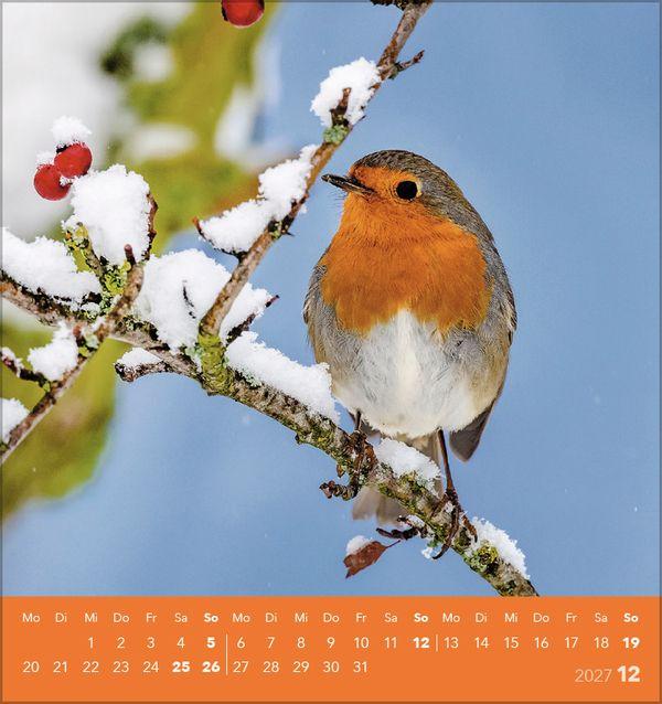 Beispielinhalt (Bild) Vögel unserer Heimat 2027