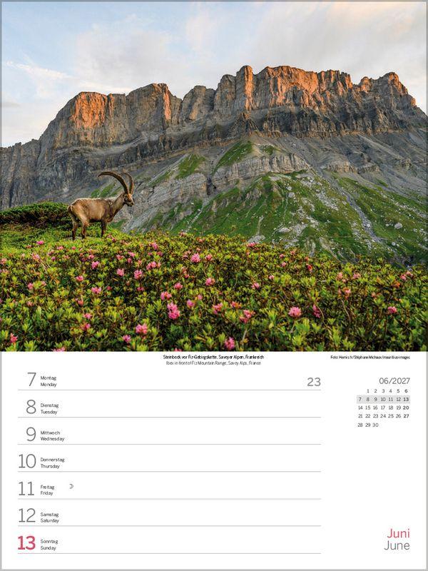 Beispielinhalt (Bild) Zauber der Alpen 2027