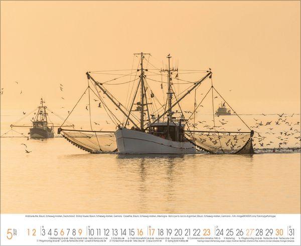 Beispielinhalt (Bild) Küstenträume 2027