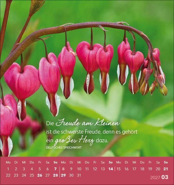 Beispielinhalt (Bild) Schön, dass es dich gibt! 2027