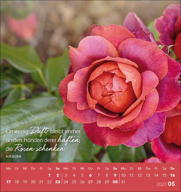 Beispielinhalt (Bild) Schön, dass es dich gibt! 2027