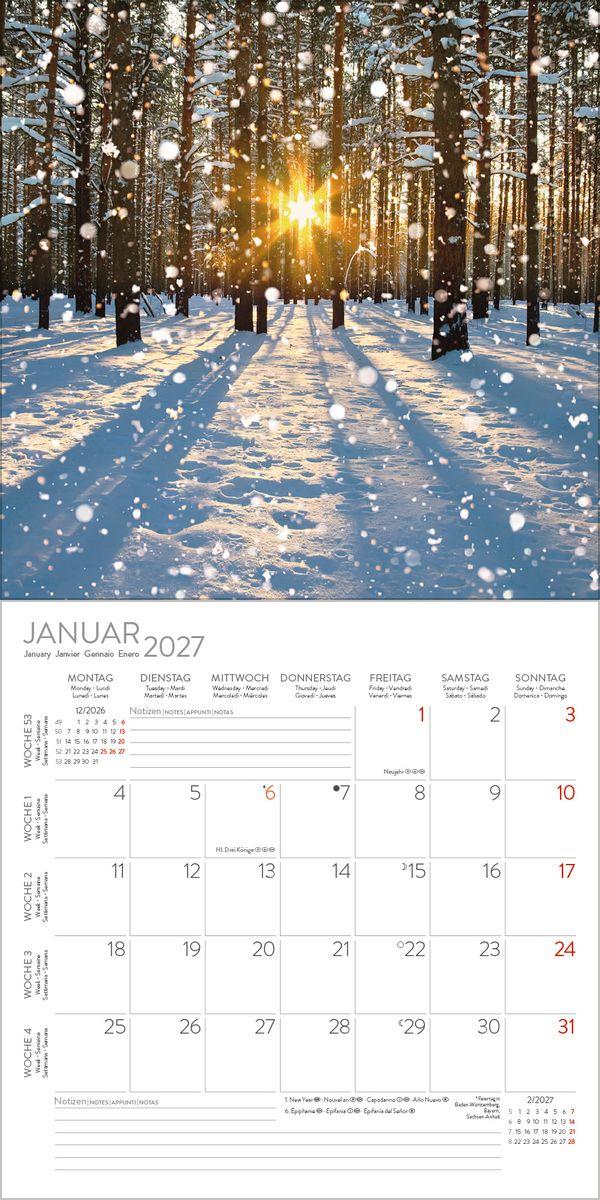 Beispielinhalt (Bild) Magische Wälder 2027