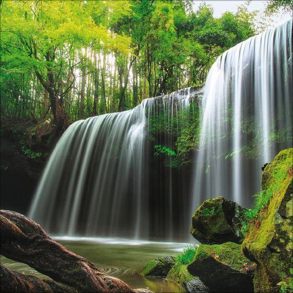 Beispielinhalt (Bild) Magische Wälder 2027