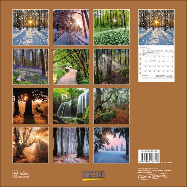 Beispielinhalt (Bild) Magische Wälder 2027