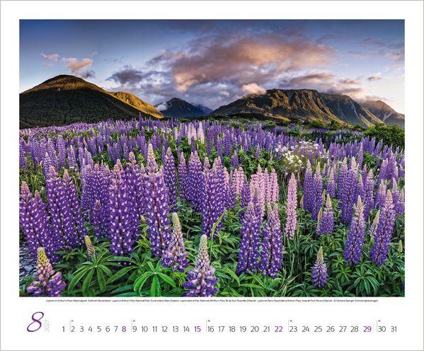 Beispielinhalt (Bild) Augenblicke der Stille 2027