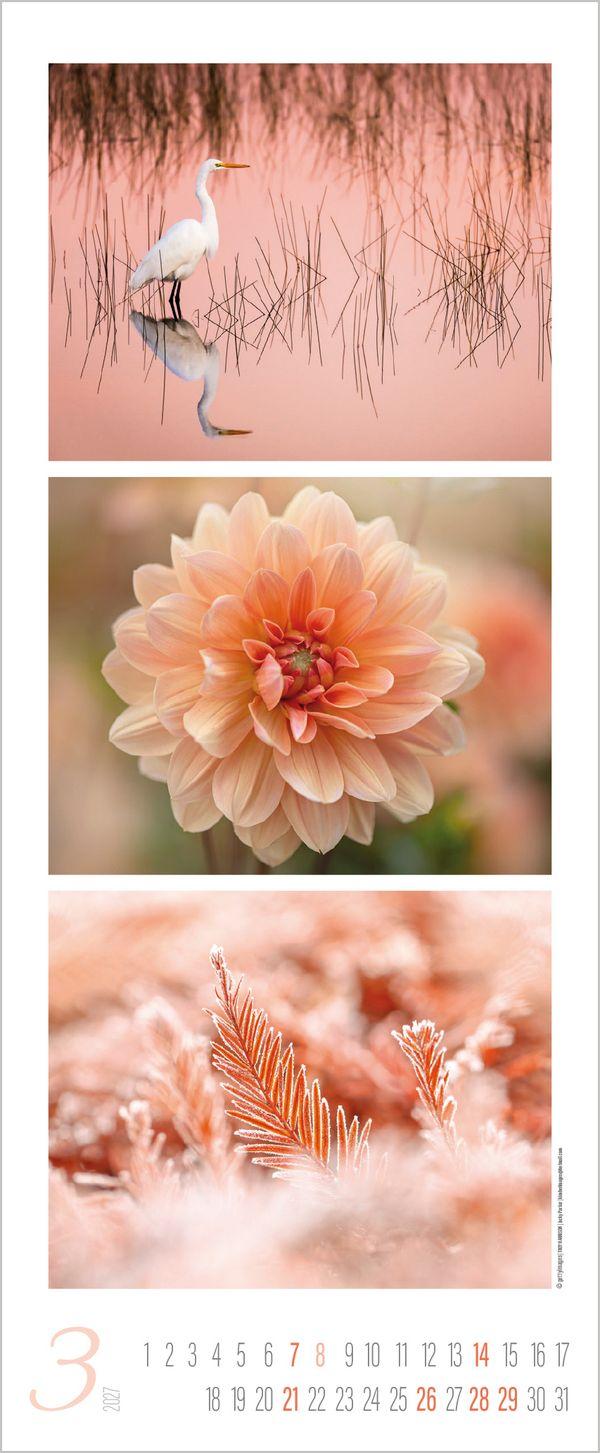 Beispielinhalt (Bild) Colour Triplets 2027